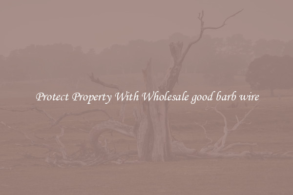Protect Property With Wholesale good barb wire