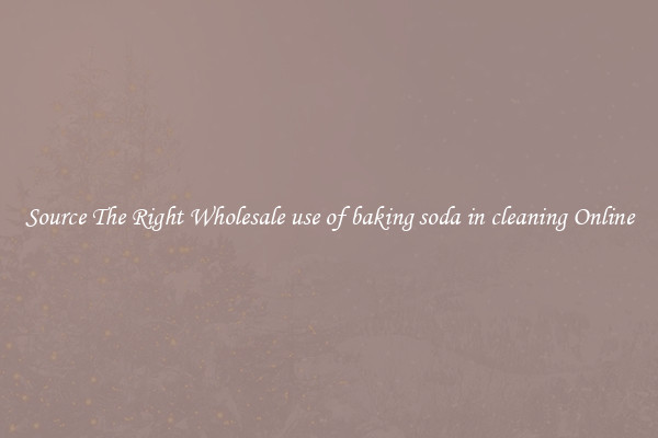 Source The Right Wholesale use of baking soda in cleaning Online
