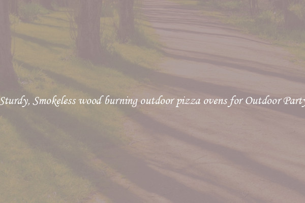 Sturdy, Smokeless wood burning outdoor pizza ovens for Outdoor Party