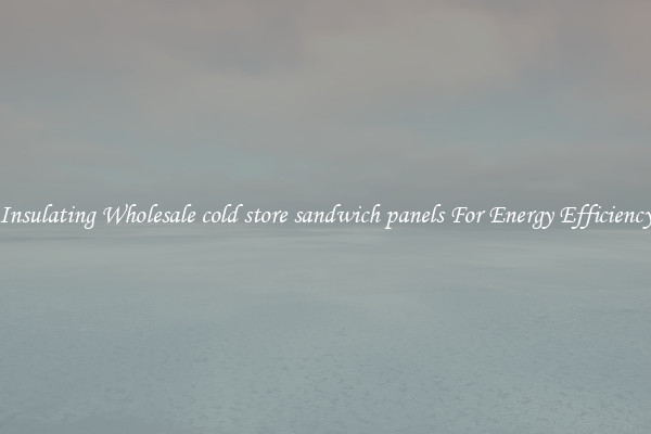 Insulating Wholesale cold store sandwich panels For Energy Efficiency