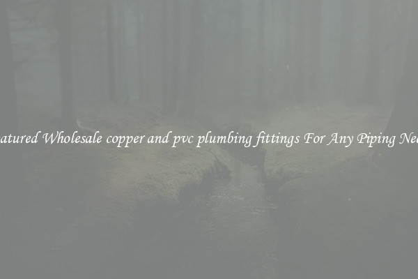 Featured Wholesale copper and pvc plumbing fittings For Any Piping Needs