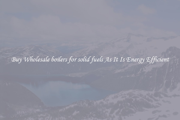 Buy Wholesale boilers for solid fuels As It Is Energy Efficient
