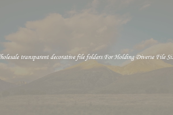 Wholesale transparent decorative file folders For Holding Diverse File Sizes