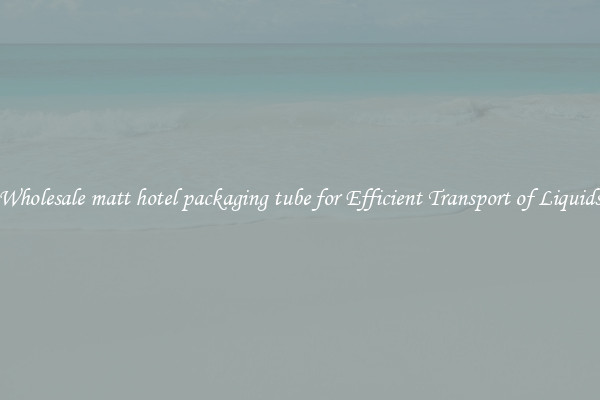 Wholesale matt hotel packaging tube for Efficient Transport of Liquids