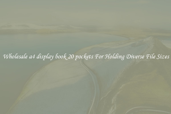 Wholesale a4 display book 20 pockets For Holding Diverse File Sizes