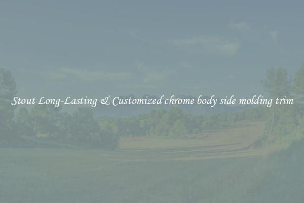 Stout Long-Lasting & Customized chrome body side molding trim