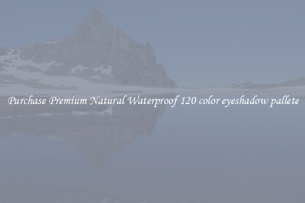 Purchase Premium Natural Waterproof 120 color eyeshadow pallete