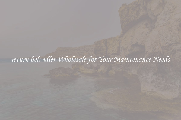 return belt idler Wholesale for Your Maintenance Needs