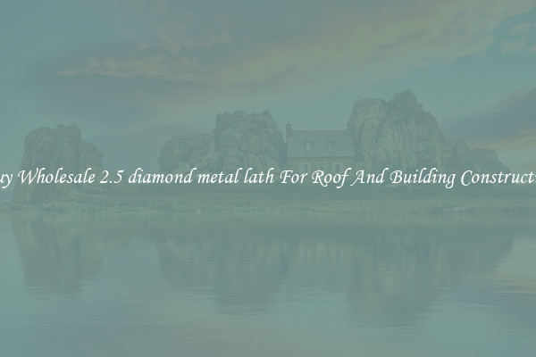 Buy Wholesale 2.5 diamond metal lath For Roof And Building Construction