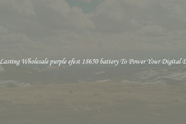 Long Lasting Wholesale purple efest 18650 battery To Power Your Digital Devices