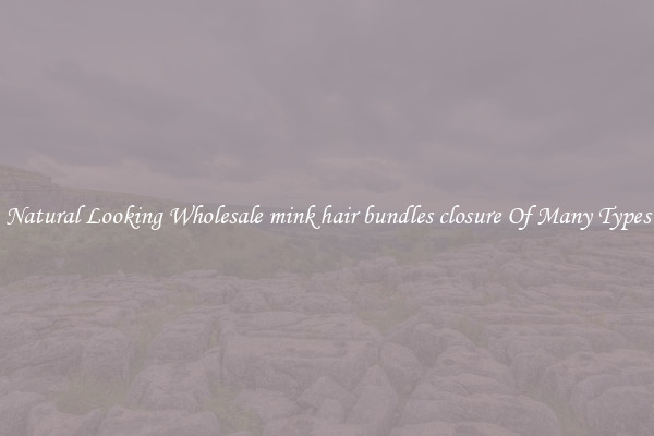 Natural Looking Wholesale mink hair bundles closure Of Many Types