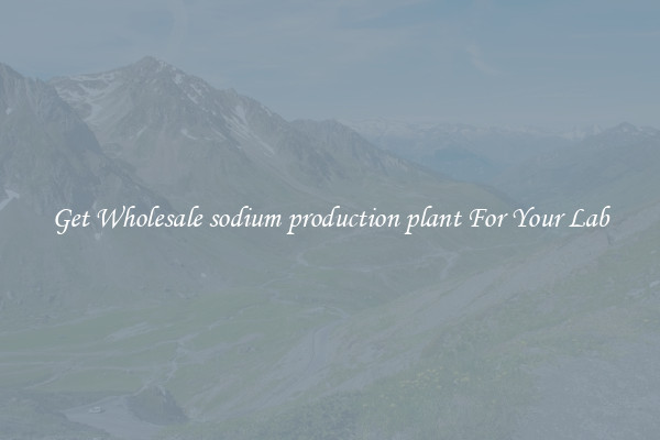 Get Wholesale sodium production plant For Your Lab