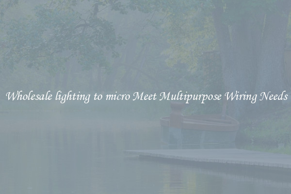 Wholesale lighting to micro Meet Multipurpose Wiring Needs