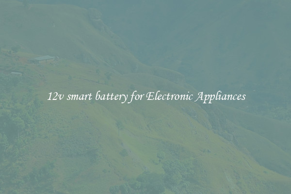 12v smart battery for Electronic Appliances